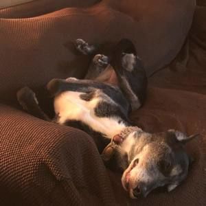 Meet your Posher, John